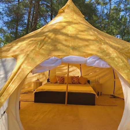Vinsan Glamping & Wellness Centre Hotell Eleousa Exteriör bild