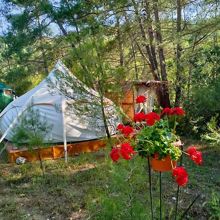 Vinsan Glamping & Wellness Centre Hotell Eleousa Exteriör bild