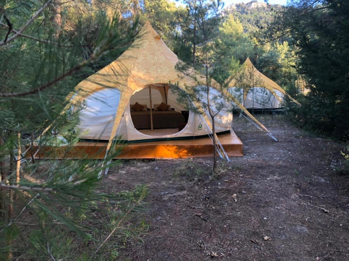 Vinsan Glamping & Wellness Centre Hotell Eleousa Exteriör bild