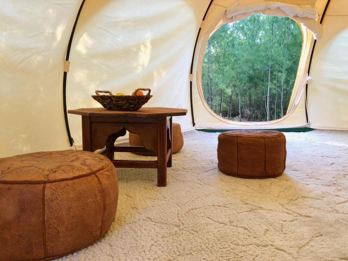 Vinsan Glamping & Wellness Centre Hotell Eleousa Exteriör bild