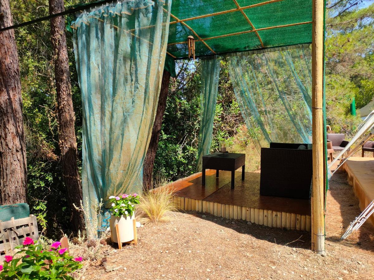 Vinsan Glamping & Wellness Centre Hotell Eleousa Exteriör bild