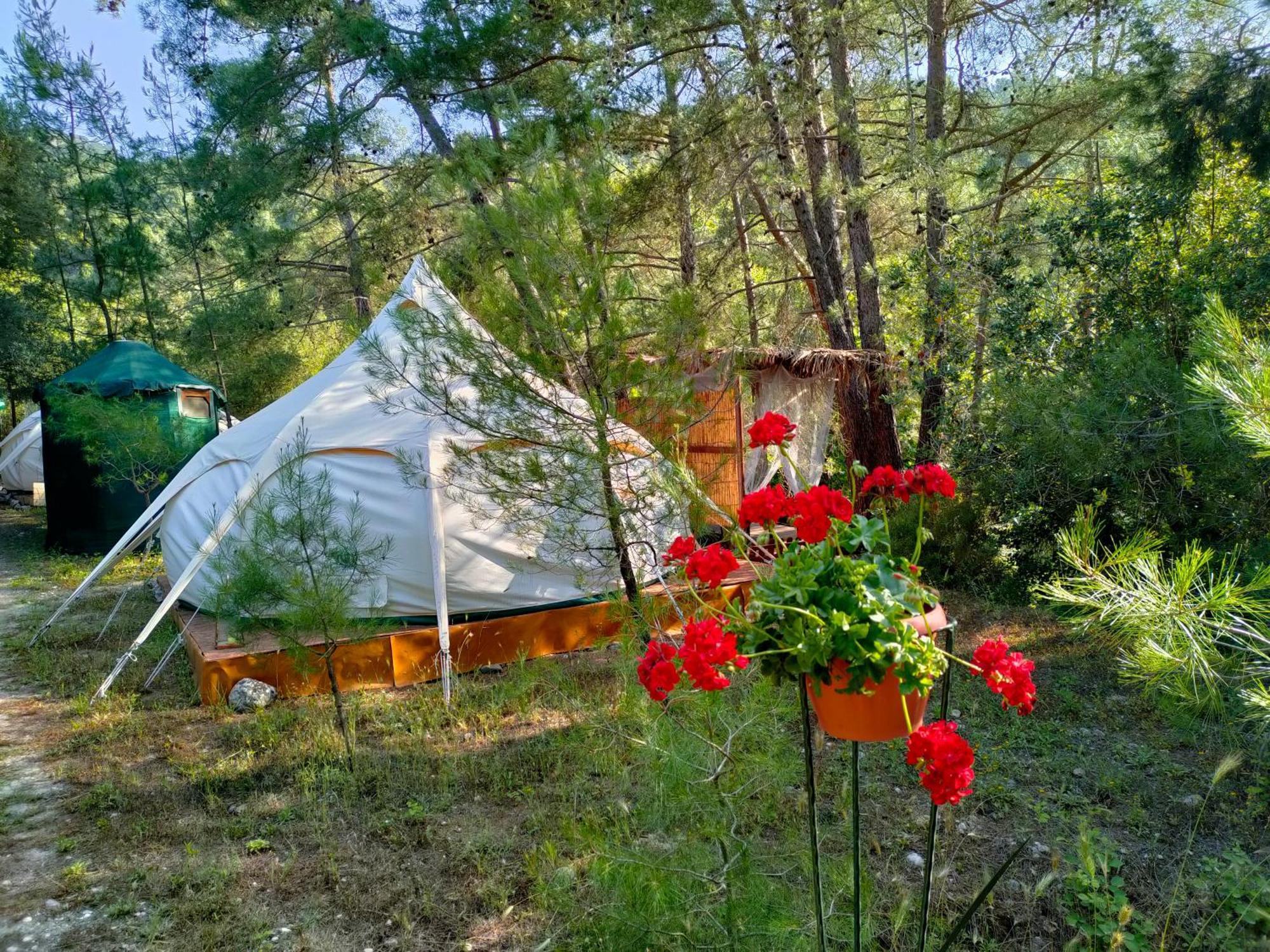 Vinsan Glamping & Wellness Centre Hotell Eleousa Exteriör bild