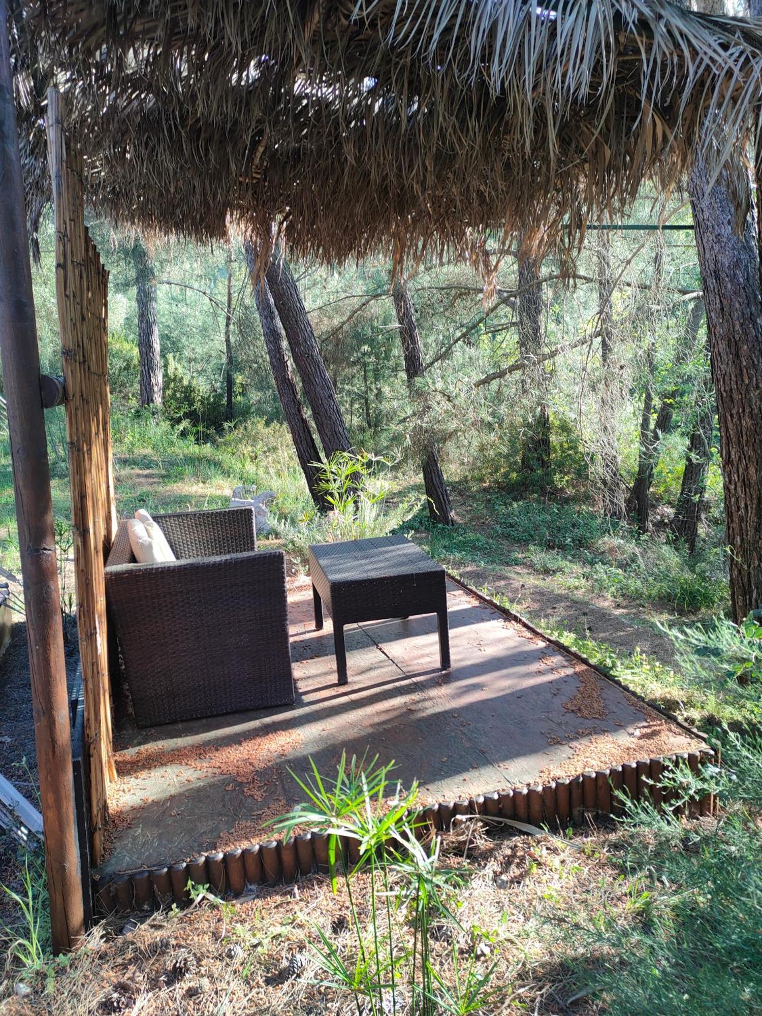 Vinsan Glamping & Wellness Centre Hotell Eleousa Exteriör bild