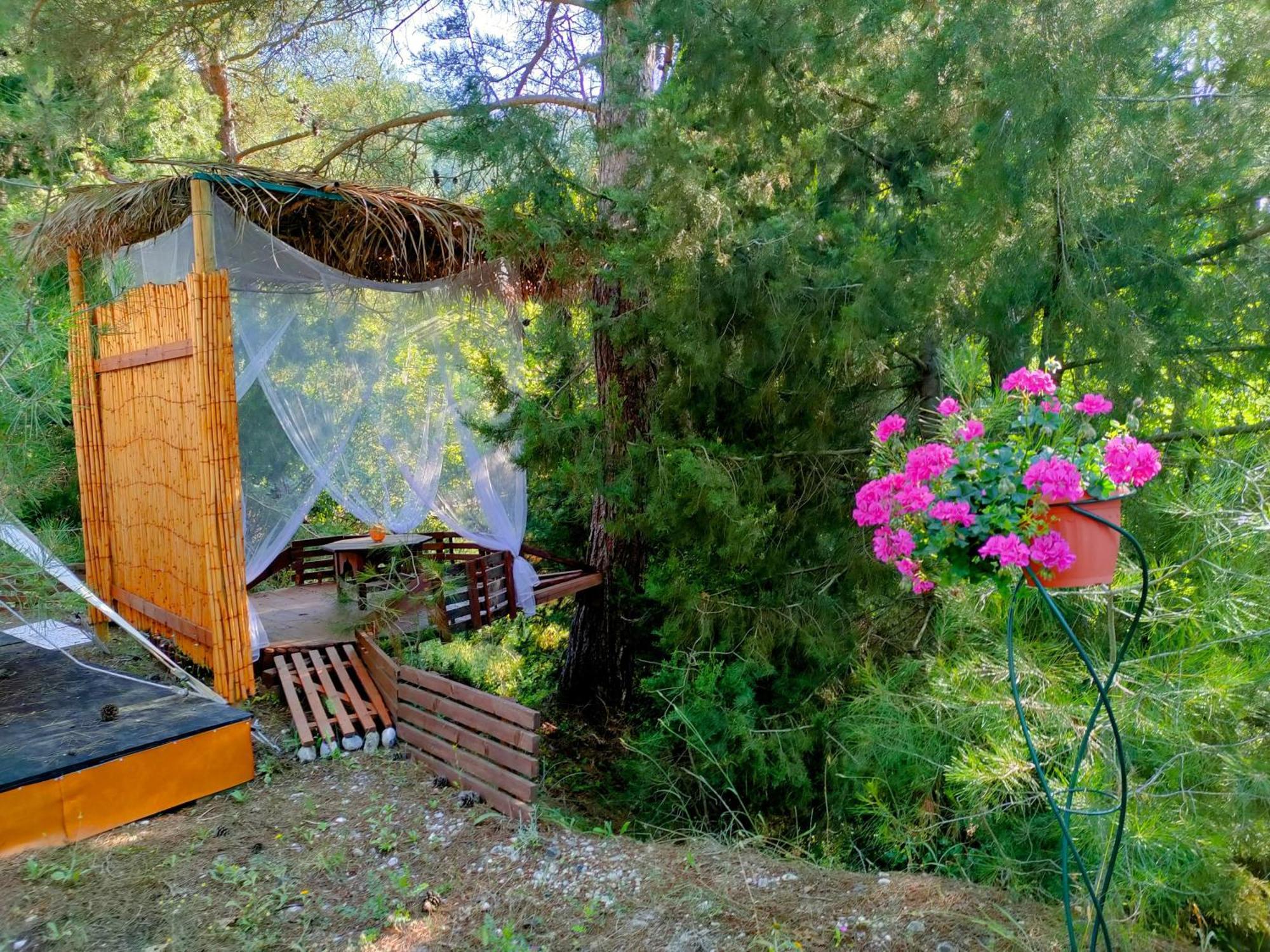 Vinsan Glamping & Wellness Centre Hotell Eleousa Exteriör bild